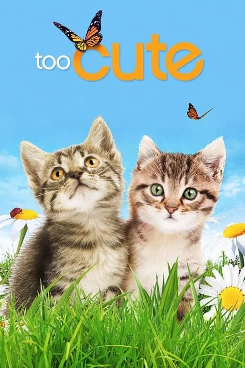 Poster for Too Cute